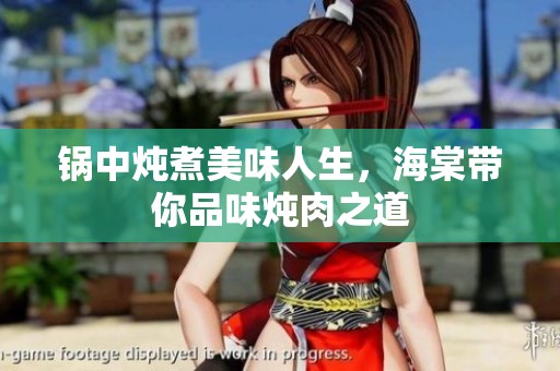 锅中炖煮美味人生，海棠带你品味炖肉之道