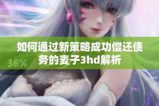 如何通过新策略成功偿还债务的麦子3hd解析