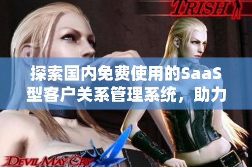 探索国内免费使用的SaaS型客户关系管理系统，助力企业成长