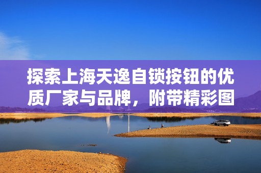 探索上海天逸自锁按钮的优质厂家与品牌，附带精彩图片，引领您了解最新产品资讯