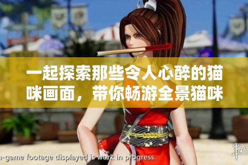 一起探索那些令人心醉的猫咪画面，带你畅游全景猫咪图片大全之旅