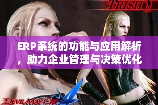 ERP系统的功能与应用解析，助力企业管理与决策优化