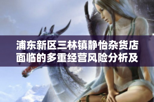 浦东新区三林镇静怡杂货店面临的多重经营风险分析及应对策略