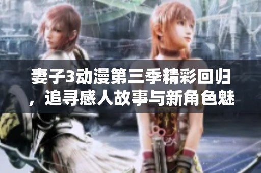 妻子3动漫第三季精彩回归，追寻感人故事与新角色魅力