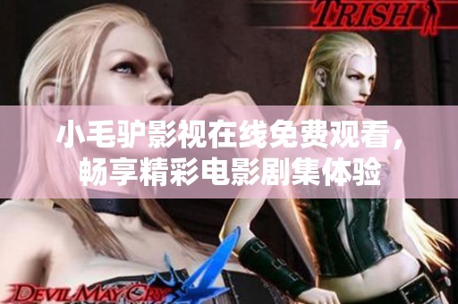小毛驴影视在线免费观看，畅享精彩电影剧集体验
