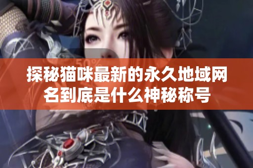 探秘猫咪最新的永久地域网名到底是什么神秘称号