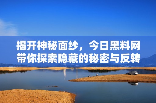 揭开神秘面纱，今日黑料网带你探索隐藏的秘密与反转故事