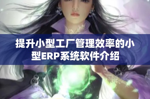 提升小型工厂管理效率的小型ERP系统软件介绍