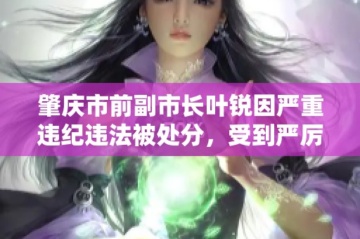 肇庆市前副市长叶锐因严重违纪违法被处分，受到严厉处理引发关注