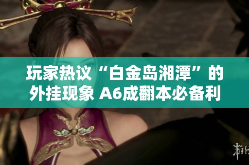 玩家热议“白金岛湘潭”的外挂现象 A6成翻本必备利器引关注
