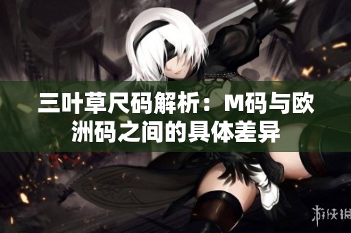 三叶草尺码解析：M码与欧洲码之间的具体差异
