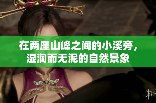 在两座山峰之间的小溪旁，湿润而无泥的自然景象