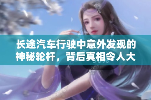 长途汽车行驶中意外发现的神秘轮杆，背后真相令人大跌眼镜