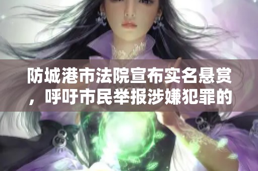 防城港市法院宣布实名悬赏，呼吁市民举报涉嫌犯罪的男子以获奖励