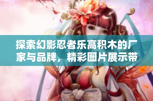 探索幻影忍者乐高积木的厂家与品牌，精彩图片展示带你进入神秘世界