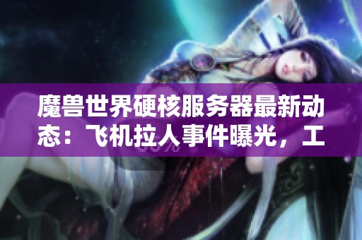 魔兽世界硬核服务器最新动态：飞机拉人事件曝光，工作室账号被封，雷火公司加大整治力度