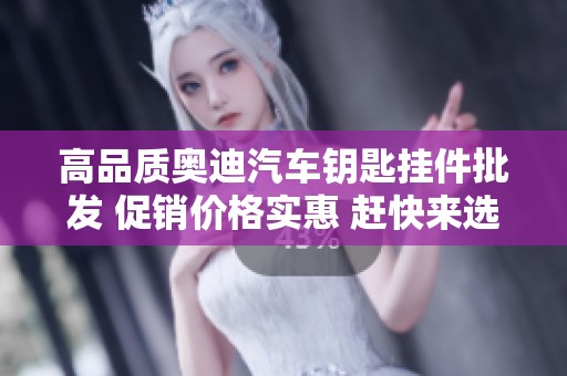 高品质奥迪汽车钥匙挂件批发 促销价格实惠 赶快来选购您的专属个性配件