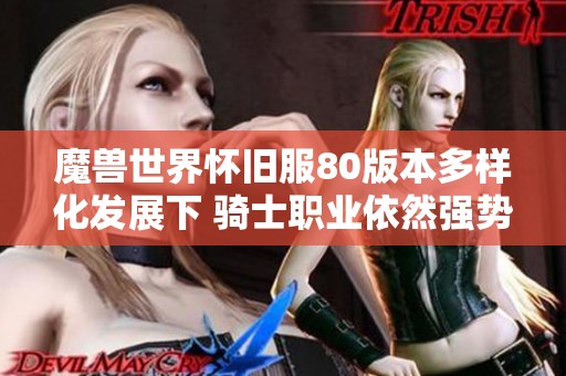 魔兽世界怀旧服80版本多样化发展下 骑士职业依然强势主导游戏格局