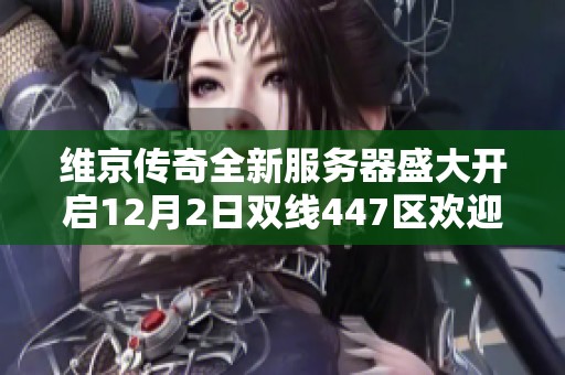 维京传奇全新服务器盛大开启12月2日双线447区欢迎玩家热情参与战斗