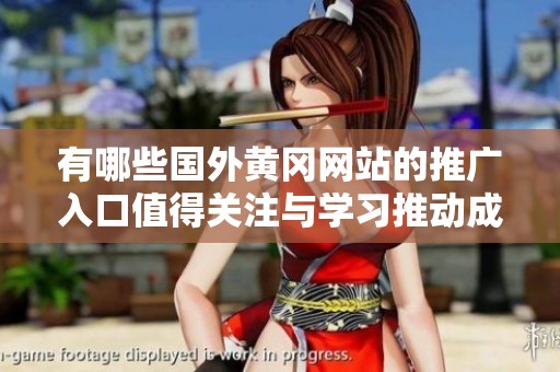 有哪些国外黄冈网站的推广入口值得关注与学习推动成长