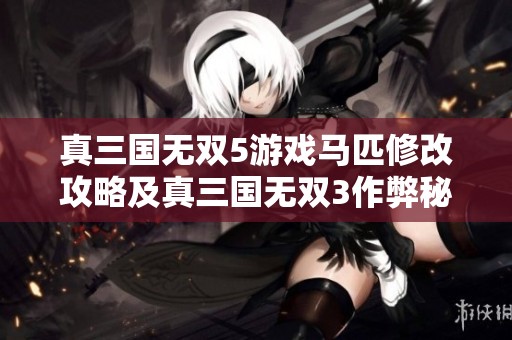 真三国无双5游戏马匹修改攻略及真三国无双3作弊秘籍分享分析