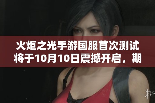火炬之光手游国服首次测试将于10月10日震撼开启，期待您的参与与挑战！