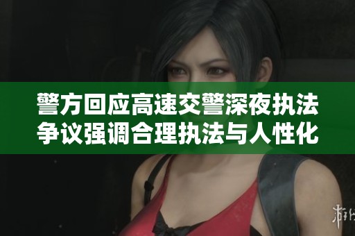 警方回应高速交警深夜执法争议强调合理执法与人性化管理的必要性