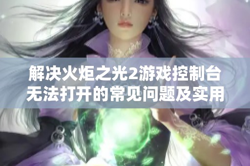 解决火炬之光2游戏控制台无法打开的常见问题及实用操作指南