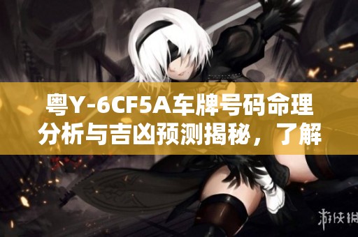 粤Y-6CF5A车牌号码命理分析与吉凶预测揭秘，了解你的车牌运势如何