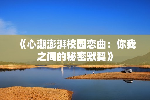 《心潮澎湃校园恋曲：你我之间的秘密默契》