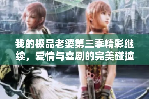 我的极品老婆第三季精彩继续，爱情与喜剧的完美碰撞