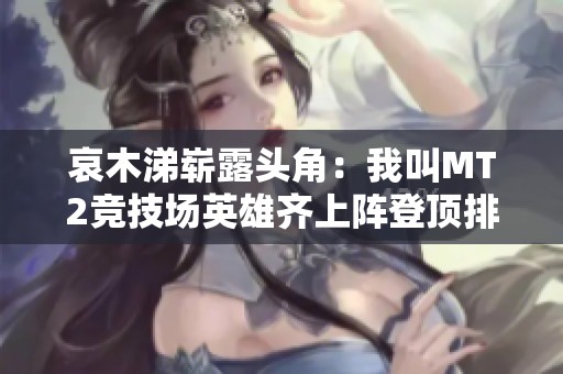哀木涕崭露头角：我叫MT2竞技场英雄齐上阵登顶排行榜