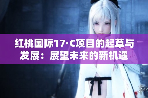 红桃国际17·C项目的起草与发展：展望未来的新机遇