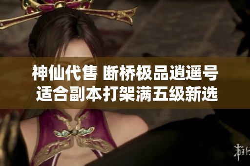 神仙代售 断桥极品逍遥号 适合副本打架满五级新选择