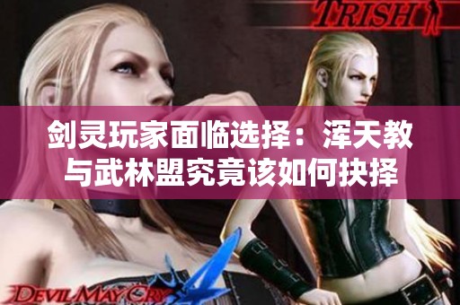 剑灵玩家面临选择：浑天教与武林盟究竟该如何抉择