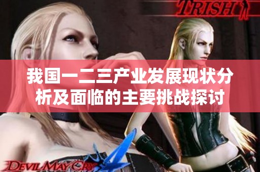 我国一二三产业发展现状分析及面临的主要挑战探讨