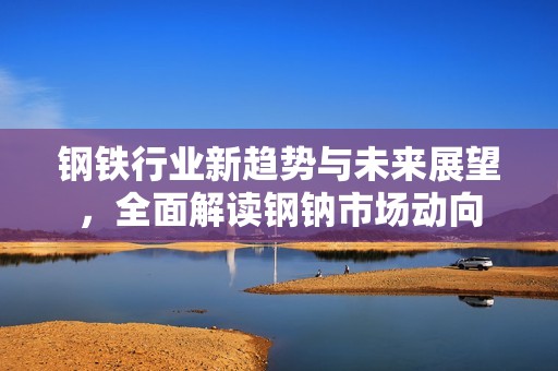 钢铁行业新趋势与未来展望，全面解读钢钠市场动向