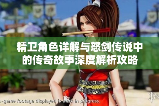 精卫角色详解与怒剑传说中的传奇故事深度解析攻略