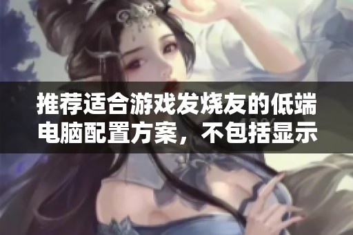 推荐适合游戏发烧友的低端电脑配置方案，不包括显示器和重量限制
