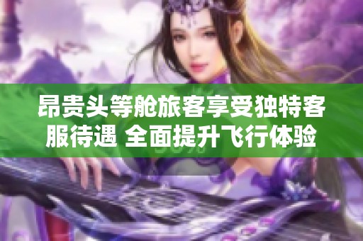 昂贵头等舱旅客享受独特客服待遇 全面提升飞行体验
