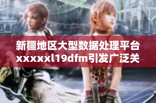 新疆地区大型数据处理平台xxxxxl19dfm引发广泛关注