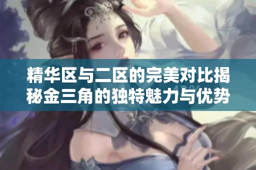 精华区与二区的完美对比揭秘金三角的独特魅力与优势分析