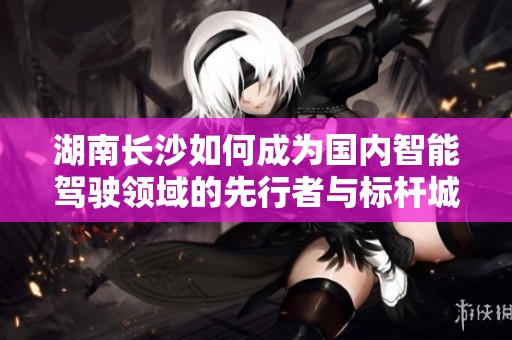 湖南长沙如何成为国内智能驾驶领域的先行者与标杆城市
