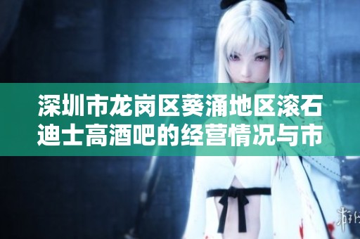 深圳市龙岗区葵涌地区滚石迪士高酒吧的经营情况与市场分析