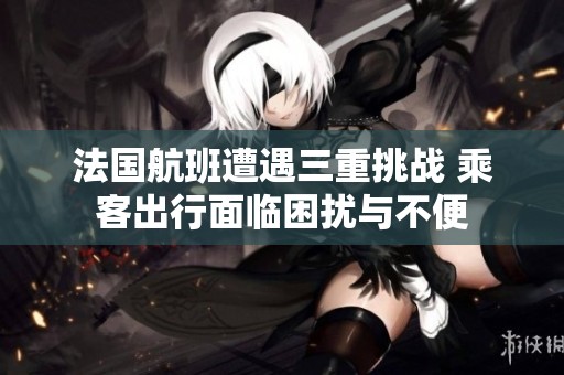 法国航班遭遇三重挑战 乘客出行面临困扰与不便