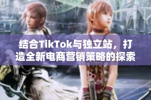 结合TikTok与独立站，打造全新电商营销策略的探索与实践