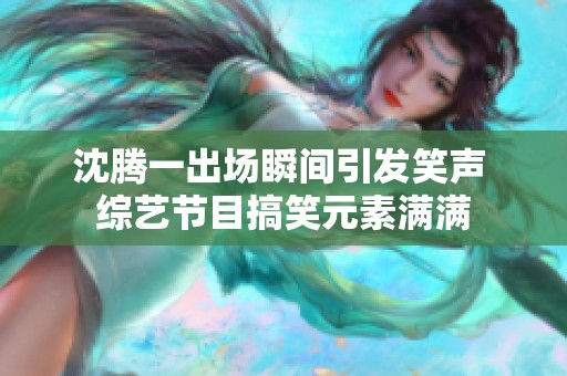 沈腾一出场瞬间引发笑声 综艺节目搞笑元素满满