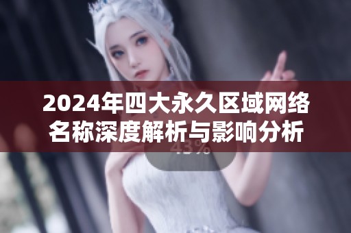 2024年四大永久区域网络名称深度解析与影响分析