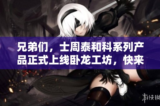 兄弟们，士周泰和科系列产品正式上线卧龙工坊，快来体验！