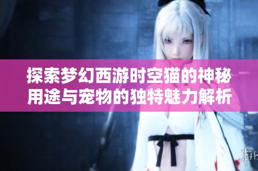 探索梦幻西游时空猫的神秘用途与宠物的独特魅力解析